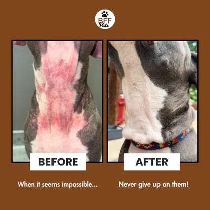 Oravia™ Pet Wipes
