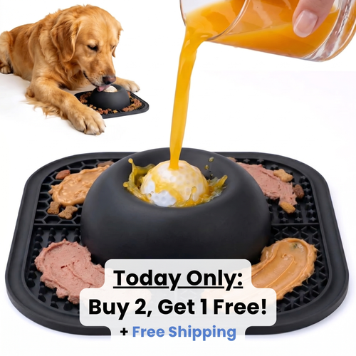 Enrichment Bowl For Dogs