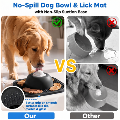 Enrichment Bowl For Dogs