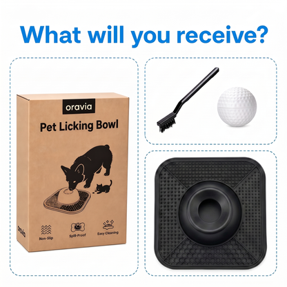 Enrichment Bowl For Dogs